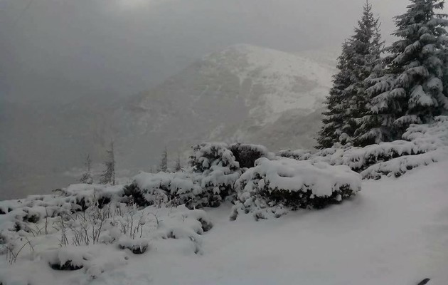 Таяние снега высвобождает углекислый газ из почвы