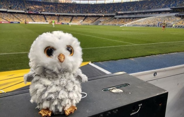 Cов на поле доставил дрон