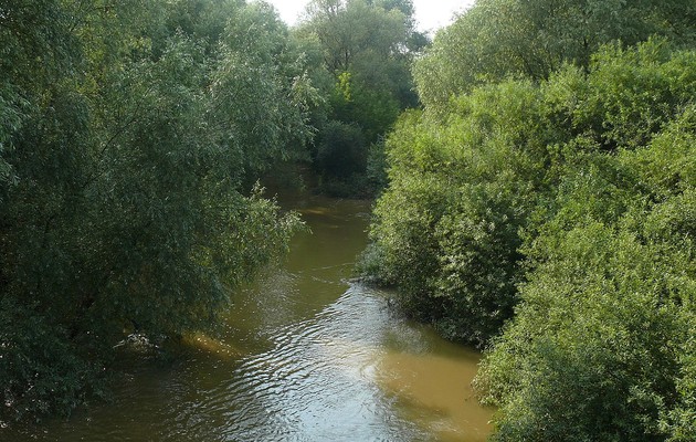Из-за дождей уровень воды в реках может поднять на 3,5 метра