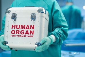 Более пяти тысяч украинцев ожидают трансплантации органов: МОЗ расширяет перечень больниц, оказывающих такие услуги