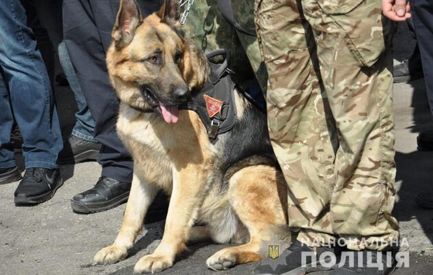 Дело об избиении фана Шария передали в Главное следственное управление Харьковской полиции