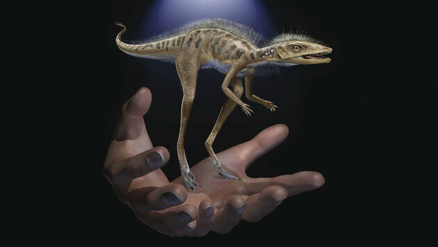 Ученые нашли останки миниатюрного предка динозавров и птерозавров