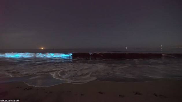 Ученые выяснили, что заставляет волны светиться