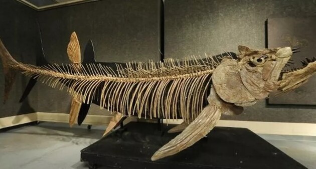 Палеонтологи нашли останки шестиметровой рыбы возрастом 70 миллионов лет