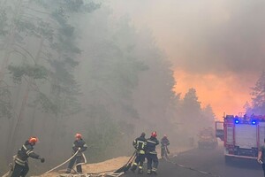 Пожежа в Луганській області: до гасіння лісу залучили Нацгвардію і ВСУ. В ОДА кажуть про навмисний підпал