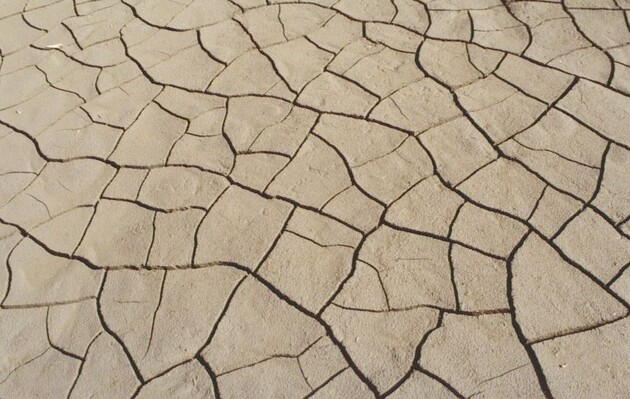 Посухи в Південній Америці стали набагато більш частими і руйнівними