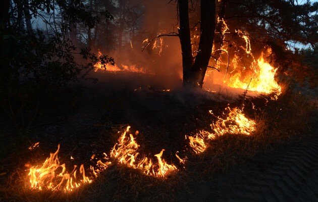 Лесные пожары на Луганщине признаны чрезвычайной ситуацией – глава ОГА