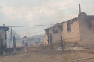 Пожежі на Луганщині: уряд визначив суми компенсацій постраждалим 
