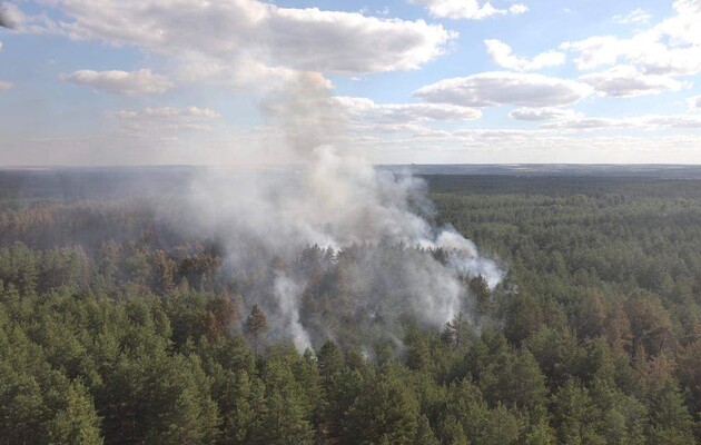 Пожежу в Луганській області вдалося локалізувати - ДСНС 