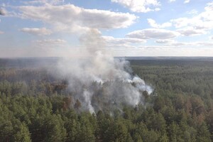 Пожар в Луганской области удалось локализовать – ГСЧС