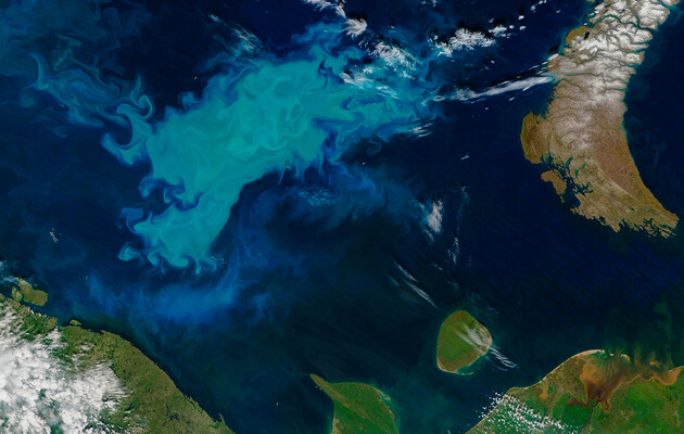 Води Північного Льодовитого океану стрімко «зеленішають»