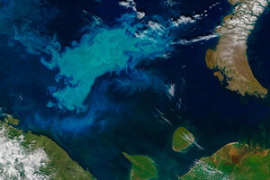 Воды Северного Ледовитого океана стремительно «зеленеют»