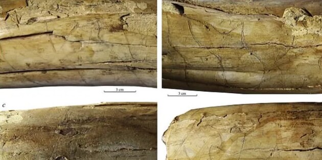 На бивні мамонта зобразили бій верблюдів