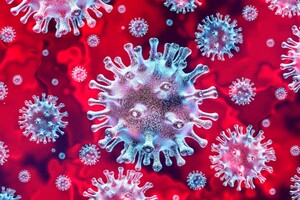 ВООЗ: «Існує чотири сценарії поширення коронавірусу у світі» 
