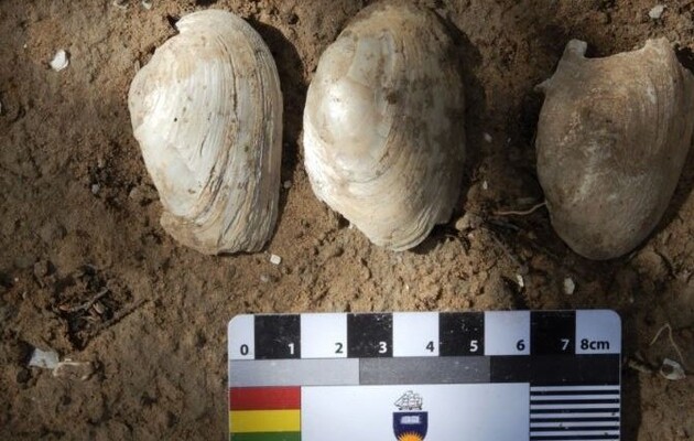 Раковины указали на древнейшую стоянку аборигенов на юге Австралии