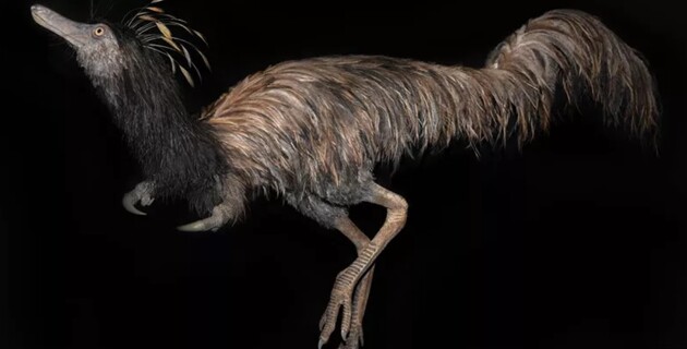 Вчені знайшли дивного динозавра з гачками замість лап