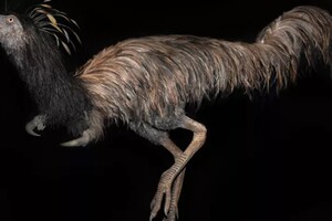 Вчені знайшли дивного динозавра з гачками замість лап
