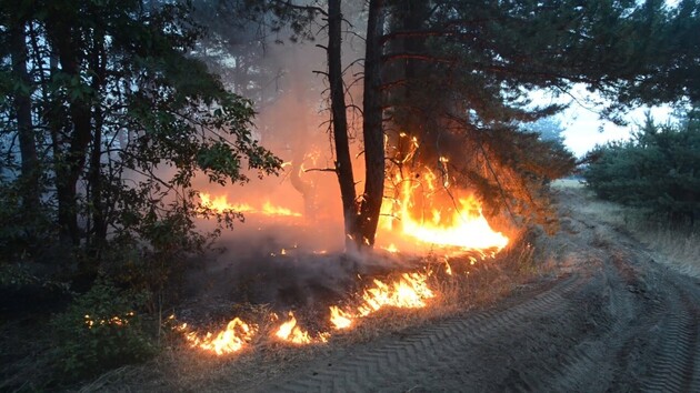 Через обстріл бойовиків в Луганській області загорівся ліс