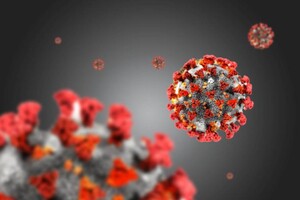 В КНДР заподозрили первый случай коронавируса