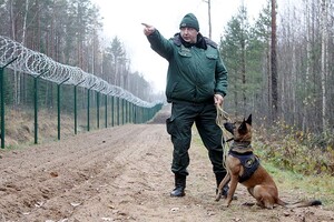 Латвия начала строить «стену» на границе с Россией