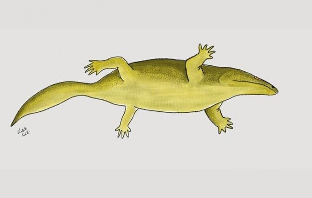 Палеонтологи обнаружили останки древней пятипалой рептилии