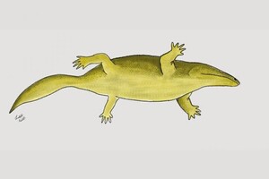 Палеонтологи виявили останки древньої п'ятипалої рептилії