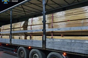У Закарпатті СБУ блокувала контрабанду червоного дерева в Євросоюз на 800 тисяч гривень