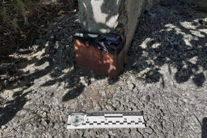 Полиция обезвредила взрывное устройство возле газопровода в Луганской области