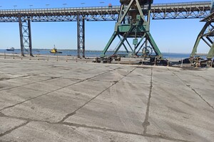 З Миколаївського порту вивезли тисячі тонн аміачної селітри – адміністрація