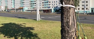 В Минске оперативно разобрали мемориал погибшему во время протестов
