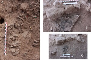 Археологи обнаружили следы древнейшей кремации на Ближнем Востоке
