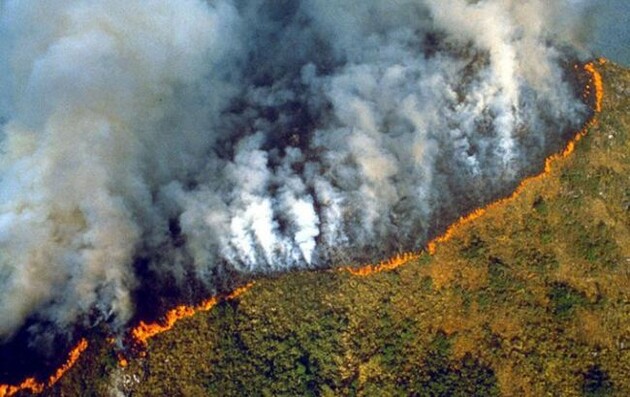 На початку серпня в лісах Амазонії зафіксовано більше десяти тисяч пожеж — The Guardian
