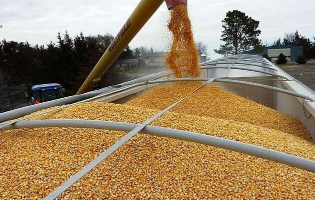 На експорт зерна за кордон встановили ліміти