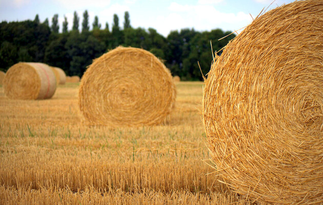 В прошлом году сельское хозяйство достигло 80% уровня, на котором оно было в последний год существования УССР - эксперт 