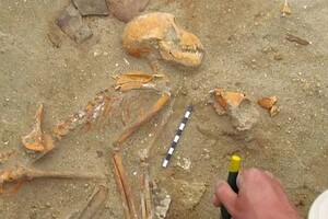 Археологи знайшли в Єгипті кладовище незвичайних домашніх тварин 