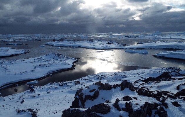 Вчені розповіли про стрімке танення антарктичного льодовика Ширасе 