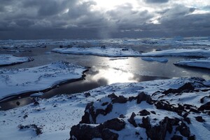 Вчені розповіли про стрімке танення антарктичного льодовика Ширасе 