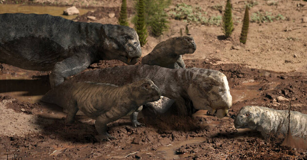 В клыках листрозавров нашли намек на состояние, похожее на спячку