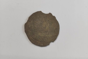 У Житомирській області вперше за 100 років знайшли монети часів Київської Русі 