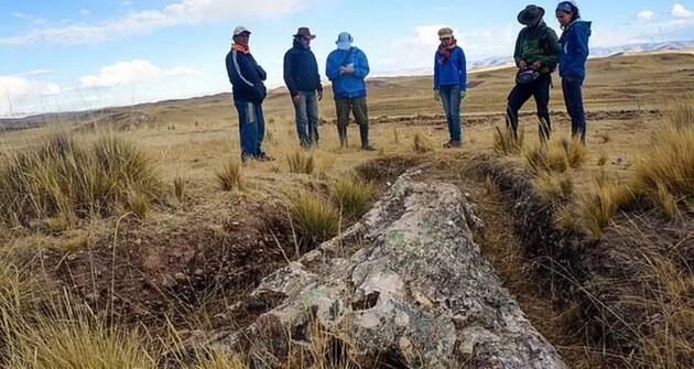10 мільйонів років тому в Андах росли ліси