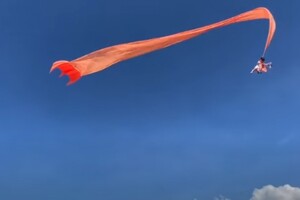 Трирічну дівчинку віднесло в небо на повітряному змії 