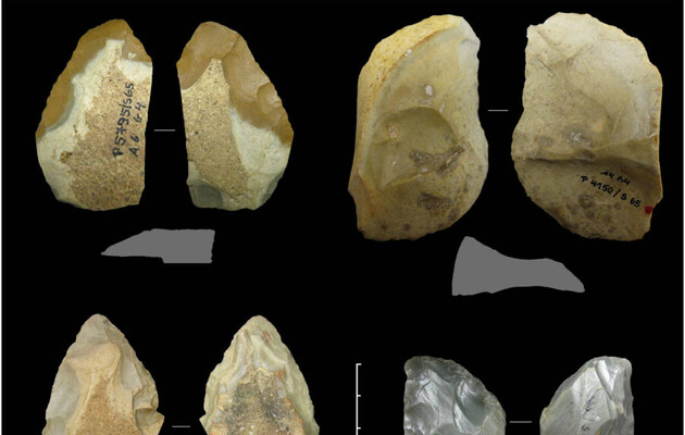 Неандертальцы начали усовершенствовать орудия труда из-за изменений климата