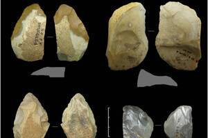 Зміни клімату «допомогли» неандертальцям перейти до виготовлення складніших знарядь праці 