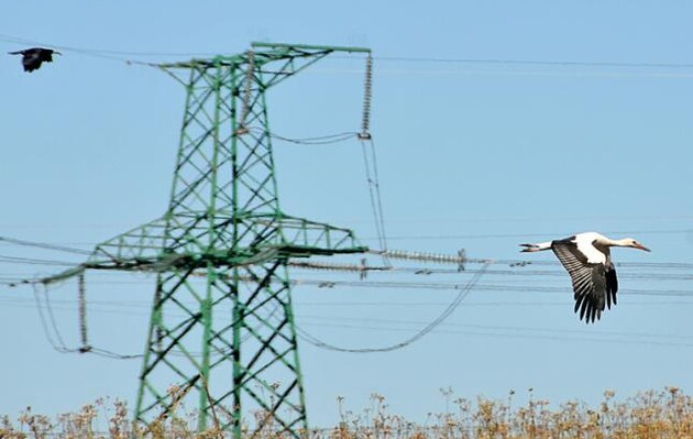 За месяц оптовые цены на электроэнергию в Украины выросли на 8,5%