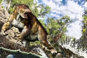 Ученые нашли на костях древнего ленивца следы зубов каймана