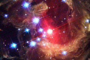Физики предположили формирование жизни внутри звезд