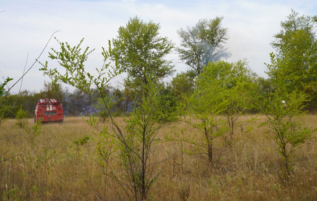 У Луганській області п'ятий день триває гасіння лісових пожеж 