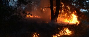 Підрив пожежного автомобіля на Луганщині: Помер один з поранених бійців 
