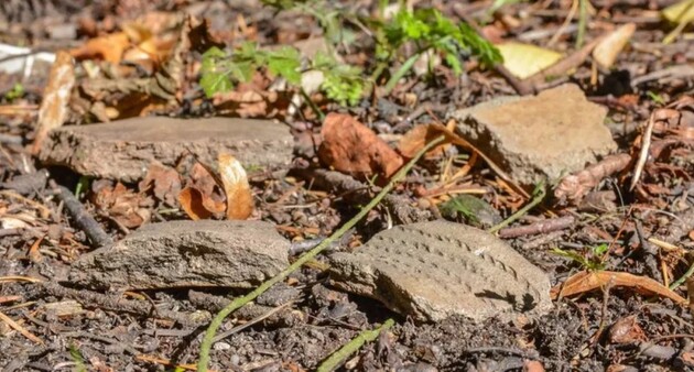 Ймовірно, в поселенні жили представники Жуцевської культури