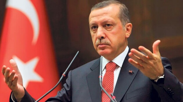 За критику Эрдогана засудили более 3800 человек